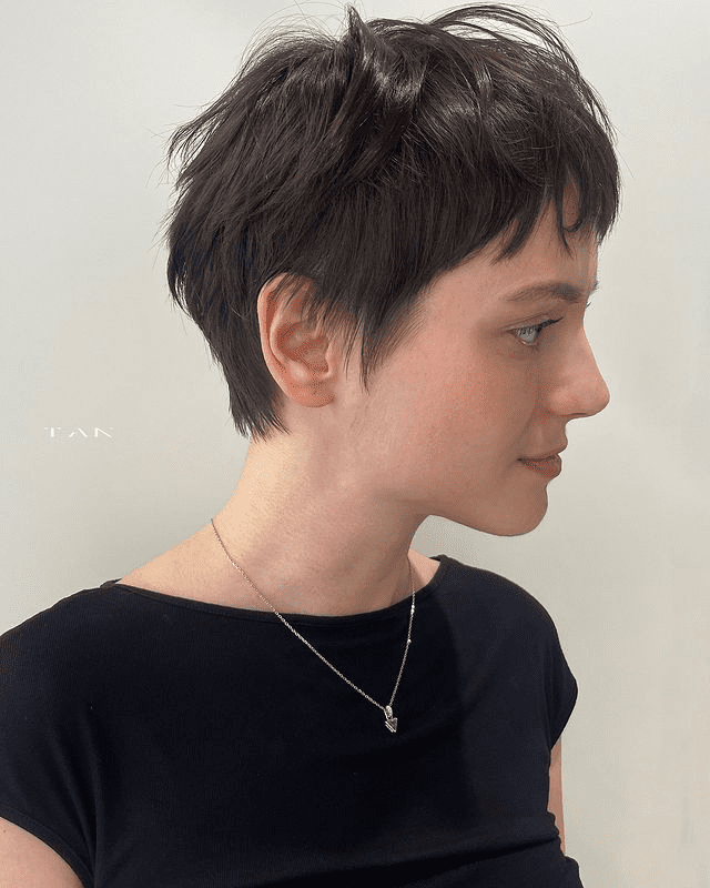 Straight Hair Micro Pixie