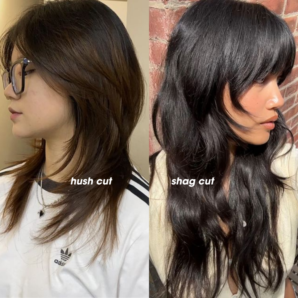 hush cut vs shag cut