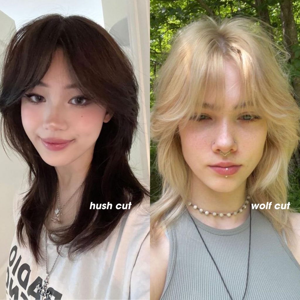 hush cut vs wolf cut